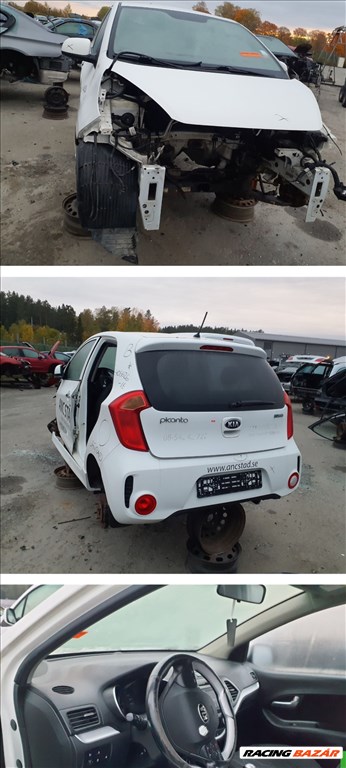 Kia Picanto (TA) 1.0 Motor  g3la10 3. kép
