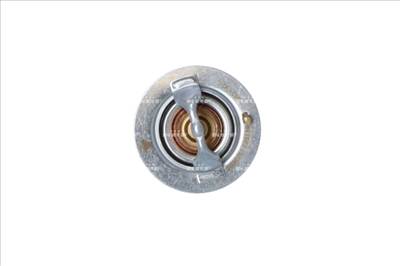 NRF 725119 - termosztát, hűtőfolyadék CITROËN FODEN TRUCKS HYUNDAI KIA LEXUS MITSUBISHI NISSAN PEUGE