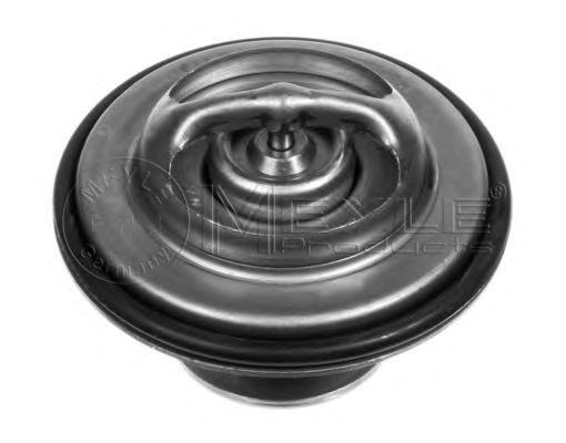 MEYLE 028 280 0004 - termosztát, hűtőfolyadék BMW 1. kép