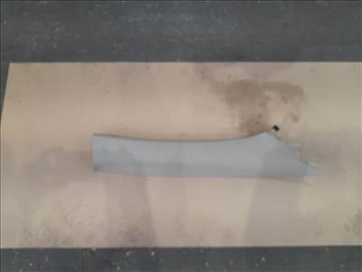 TOYOTA RAV 4 III ACA3_, ACE_, ALA3_, GSA3_, ZSA3_ Jobb A Oszlop Burkolat (44139) 62210-42040