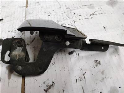 RENAULT ESPACE IV JK0/1_ Jobb hátsó Zsanér (33188) 8200122519