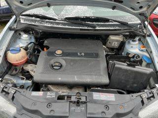 SEAT IBIZA III (6L1) Motor (Fűzött blokk hengerfejjel)