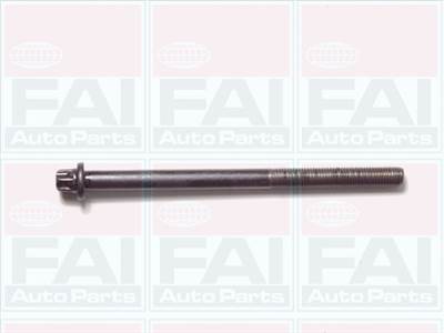 FAI AutoParts B1050 - hengerfejcsavar készlet DAEWOO OPEL VAUXHALL