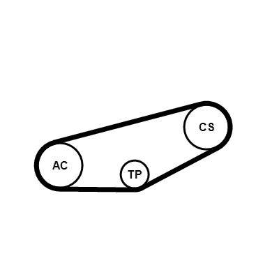 hosszbordás szíj készlet CONTINENTAL CTAM 4PK855K1 for AUDI, VW, SKODA