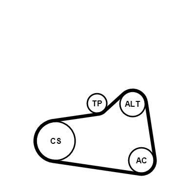hosszbordás szíj készlet CONTINENTAL CTAM 6PK905 EXTRA K1 for CITROËN, PEUGEOT, MINI, BMW, …