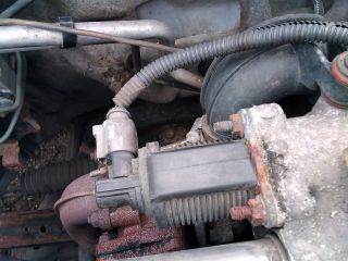 NISSAN ALMERA II (N16) EGR / AGR Szelep