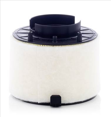 MANN-FILTER C 17 009 - légszűrő AUDI