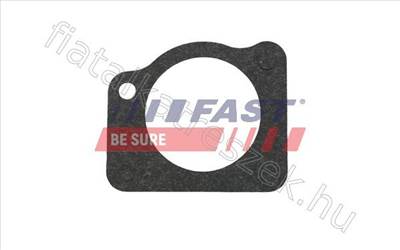 Vízpumpa Tömítés FIAT DUCATO 06>/ 14> 3.0JTD IVECO DAILY V - Fastoriginal 504107629