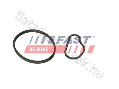 Vákumszivattyú tömítés Tömítés CITROEN BERLINGO 08> 1.6 HDI/BLUEHDI FORD FOCUS III Turnier - Fastoriginal 4556.24