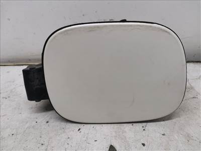 VOLVO S80 II (AS) 2.5 T Tankajtó #27196# 30674713