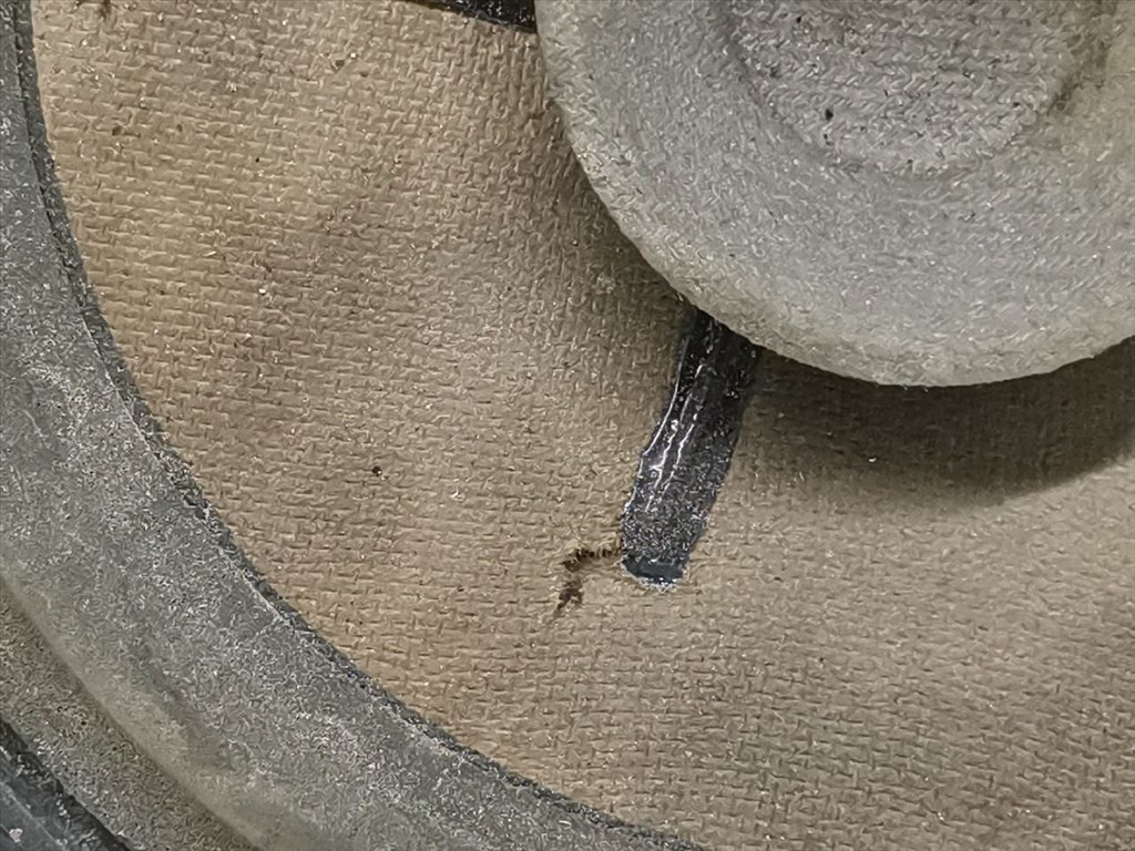 OPEL ASTRA F (56_/ 57_) 1.4 i Bal első Hangszóró #19291# 90228349 3. kép