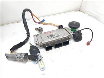 CITROËN XSARA (N1) 1.6 16V Motorvezérlő #8250# 9638765980