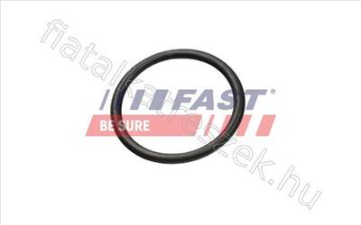 Tömítés FIAT DUCATO 06> Termosztátház 2.2 HDI - RANGER, TRANSIT, DEFENDER, JUMPER, TX, DUCATO - FT49927, 1340.91 -  - Fastoriginal Utángyártott új 1340.91