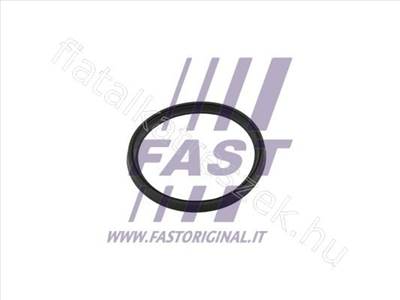 Tömítés FIAT TALENTO 16> Töltőlevegő cső, Töltőlevegő-hűtő - LODGY, DUSTER, GLA-CLASS, SCÉNIC, LOGAN, GRAND - FT49854, 6000618817 -  - Fastoriginal Utángyártott új 6000618817