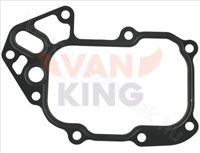 Olajhűtő tömítés 3.0 IVECO DAILY III - IVECO EREDETI 5802874103