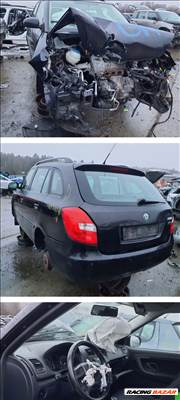 Skoda Fabia II 1.2 HTP Motor  cgpa12