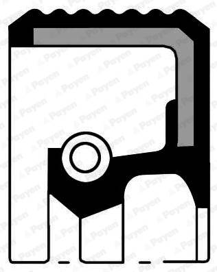 PAYEN NF857 - fötengely szimmering ALFA ROMEO ARO CHEVROLET CHRYSLER CITROËN DAIHATSU FIAT IRAN KHOD