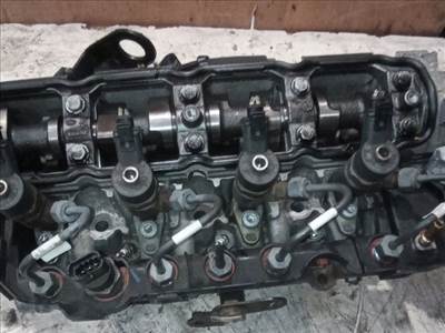 Renault Scénic II Vezérműtengely (Magában) *130994* f9q816