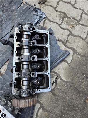 Audi A4 (B6/B7) 1.9 TDI Hengerfej