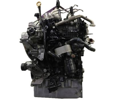 Volkswagen Crafter II 2.0 TDI Komplett motor DAUB