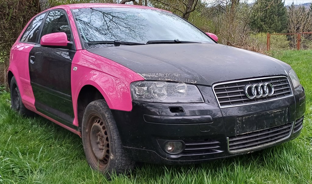 Audi A3 8P 1.9 TDI  1. kép