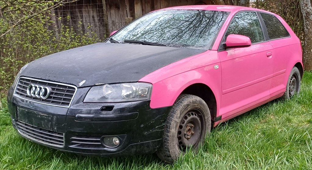 Audi A3 8P 1.9 TDI  2. kép