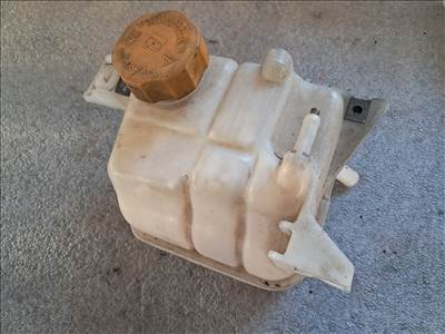 Chevrolet Captiva kiegyenlítő tartály  95025829