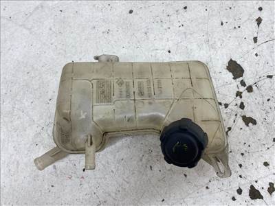 RENAULT MEGANE II (EM0/1_) 2.0 dCi Kiegyenlítő Tartály #37317# 8200262036