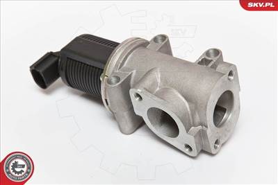 AGR-szelep ESEN SKV 14SKV055 for OPEL, GENERAL MOTORS, ALFA ROMEO, FIAT, …