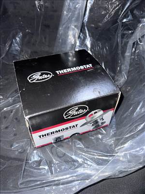 Ford Mondeo Mk4 2.5 Gates TH53990G1 termosztát