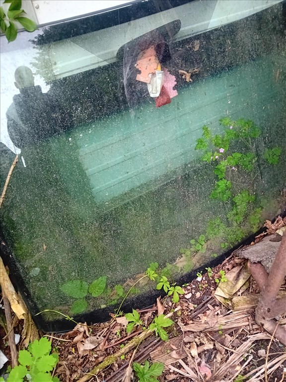 Ford Focus C-MAX 1.8 Flexifuel Cmac ford első szélvédö elado  1. kép