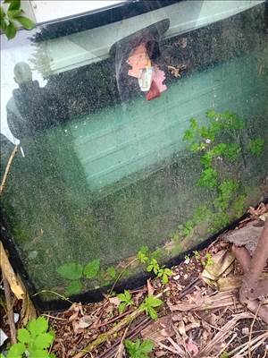 Ford Focus C-MAX 1.8 Flexifuel Cmac ford első szélvédö elado 