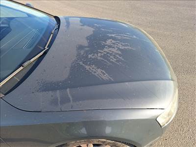 Audi A5 (B8 - 8T) Lz7h Géptető motorháztető 