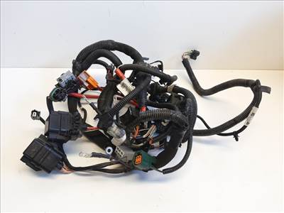 Renault Zoe  motor kábelköteg 240115252R