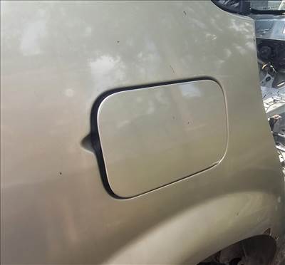 Renault Scénic II Komplett tankajto 