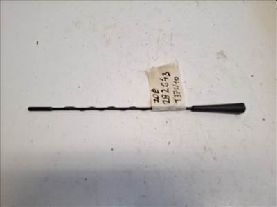 Renault Zoe  antenna szár