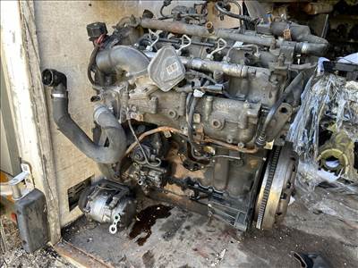 Fiat 180 Multijet / 3.0 HDi FIAT DUCATO F1AE3481E 3000 JTD 177le Motor Eu5