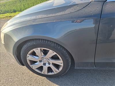 Audi A5 (B8 - 8T) Lz7h bal első sárvédő 