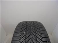 Giti Winter W1 225/50 R17