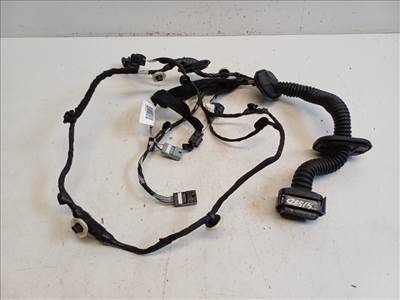 Renault Scenic jobb első ajtóköteg 241253012R
