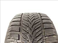 Sava Eskimo HP 195/55 R15