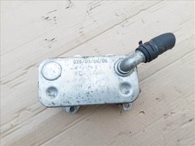 Volkswagen Golf-Jetta-Passat 2,0 Fsi-Tfsi olajhűtő 06D117021C-