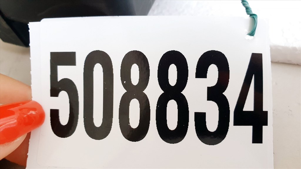 508834 Opel Vectra C, 1.9 D, 2005, Biztosíték Tábla, Külső, 13205801. 17. kép