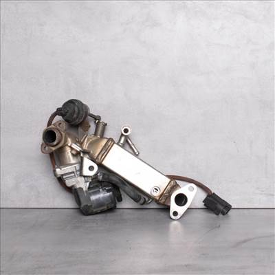 BMW 1er E87, 3er E90-E91-92, 5er e60, X1 E84 EGR hûtő (További adatok a leírásban) Cikkszám: 11717810166