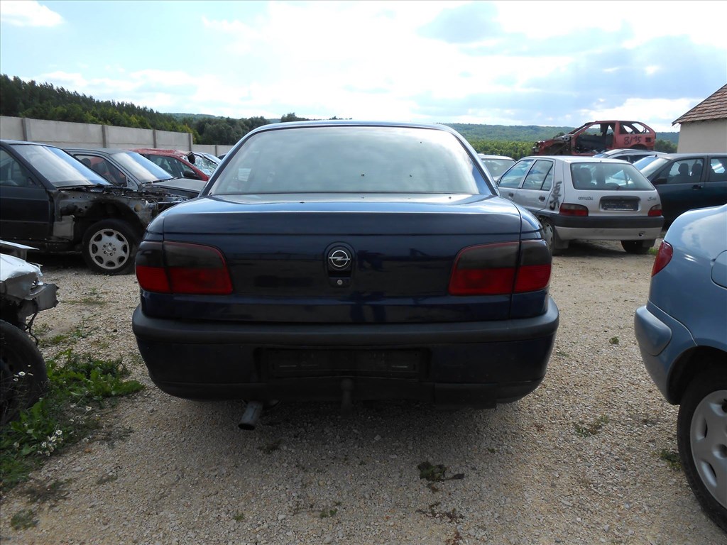 Opel OMEGA B (25_26_27) 2.5 TD fűzött blokk 1. kép