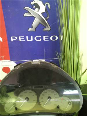 Peugeot 206 Óracsoport  9662745380