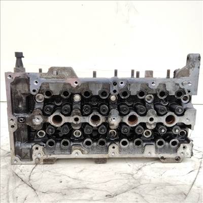 204422 Fiat Punto III., Doblo 2000-2009, Idea, Panda II. Lancia Ypsilon II. 1,3 16v hengerfej, szelepekkel 55188595