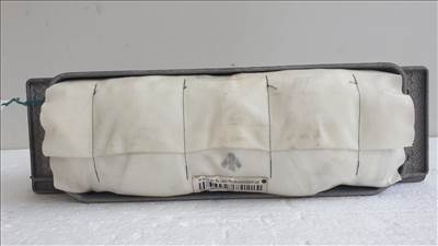 509372 Audi A4 B7, 2006, Utaslágzsák, Légzsák, 2 Csati, 8E2880204B