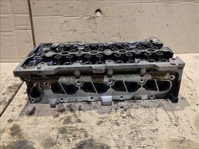 176017 Fiat Punto, Idea, Panda II., Doblo 1,3 16v Diesel hengerfej 55193109