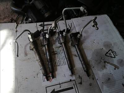 Renault Mégane II porlasztó  8200380253